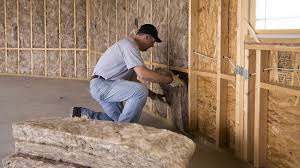 Best Attic Insulation Installation  in Fort Mill, SC